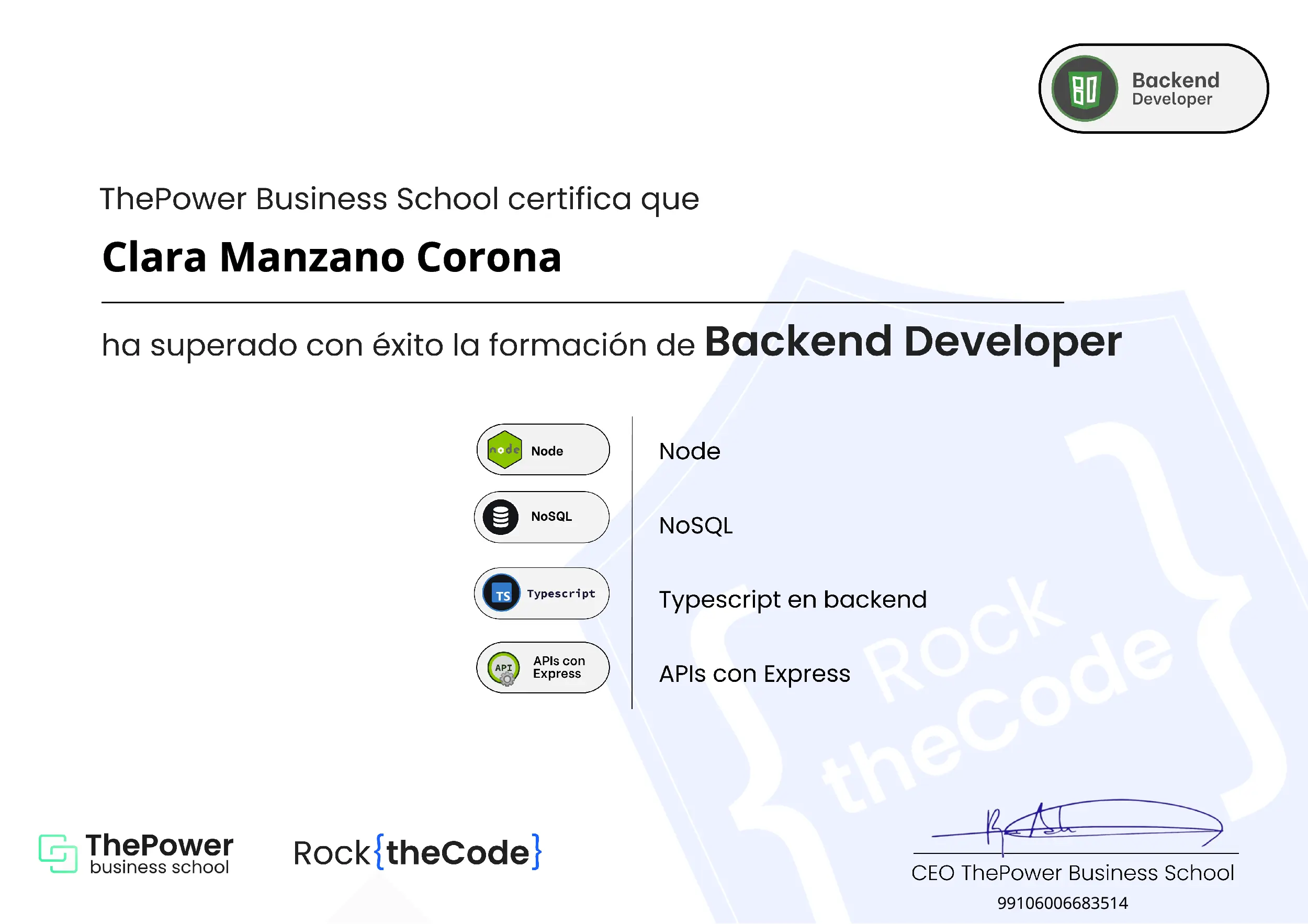 Backend Developer